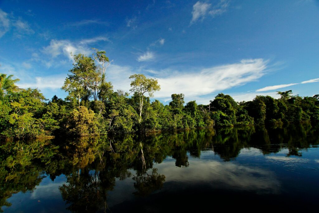 Galeria Visit Brasil – Amazônia